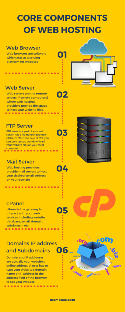 Components-of-Web-Hosting-infographic